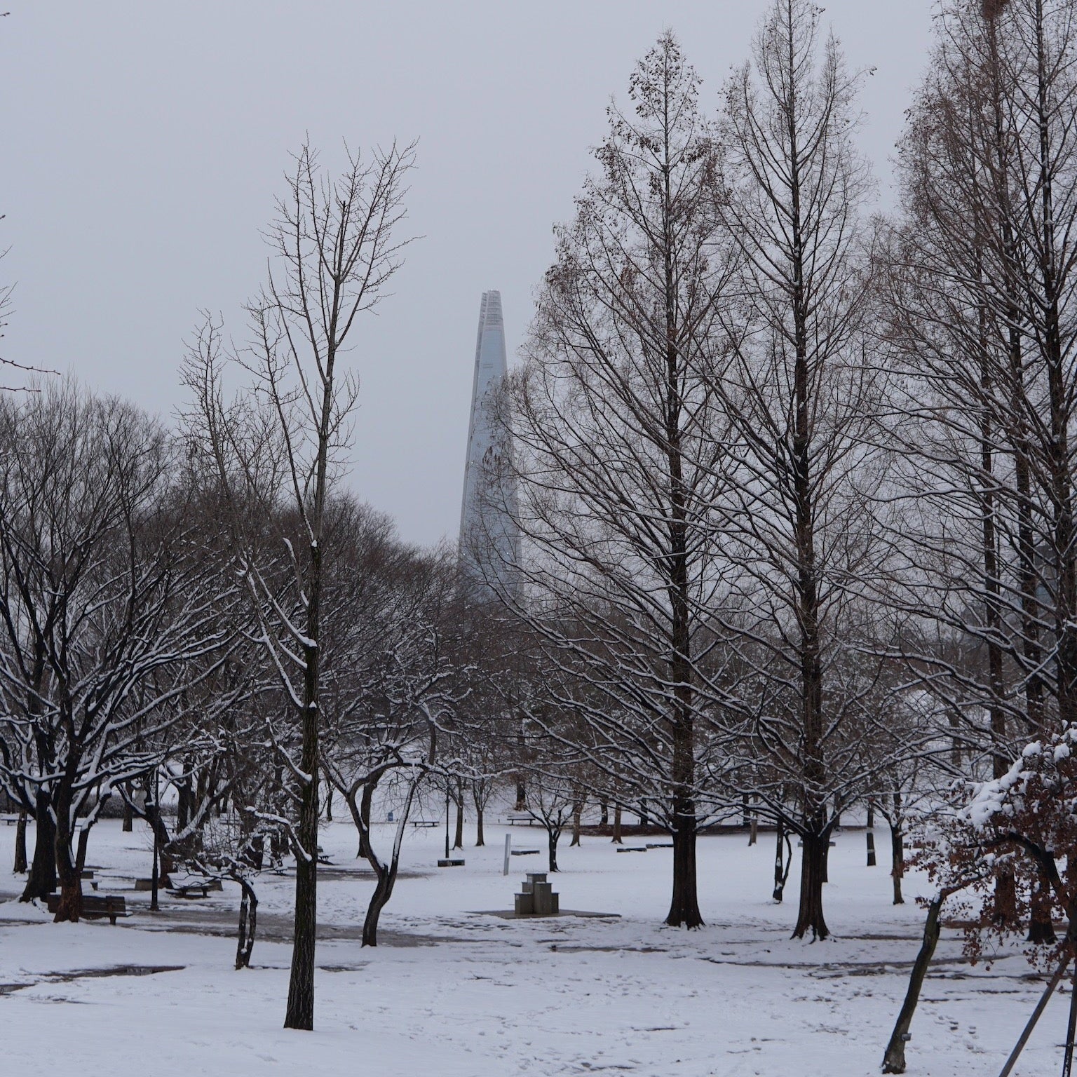 Snow-covered park with leafless trees and a tall structure in the distance.